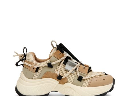 Tazmania Sneaker KHAKI BLACK Online Hot Sale