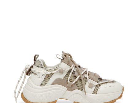 Tazmania Sneaker TAN BONE For Sale