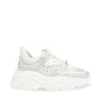 Privy Sneaker WHITE Fashion