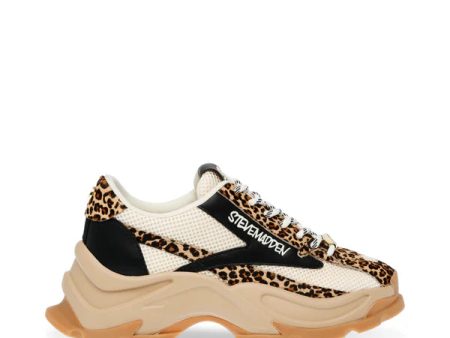 Zoomz-L Sneaker LEOPARD MULTI Sale