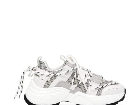 Tazmania Sneaker WHITE  GREY on Sale