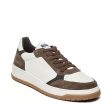 Ace Sneaker BONE DARK BROWN Fashion